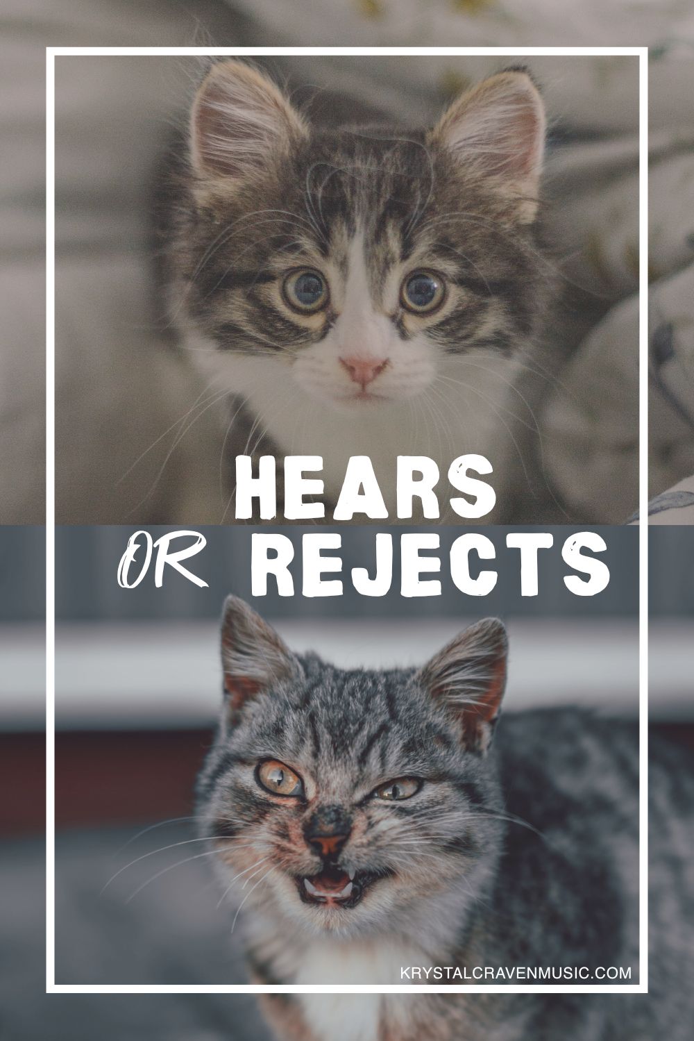 The title text "Hears or Rejects" in a large white font overlaying pictures of two different cats, one peacful and the other hissing.