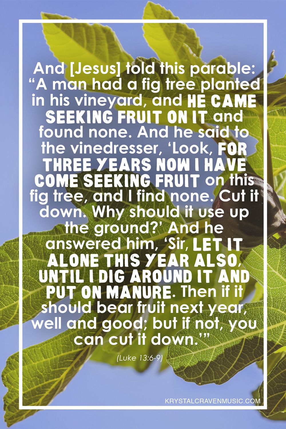 The text from Luke 13:6-9 that says "And [Jesus] told this parable: “A man had a fig tree planted in his vineyard, and he came seeking fruit on it and found none. And he said to the vinedresser, ‘Look, for three years now I have come seeking fruit on this fig tree, and I find none. Cut it down. Why should it use up the ground?’ And he answered him, ‘Sir, let it alone this year also, until I dig around it and put on manure. Then if it should bear fruit next year, well and good; but if not, you can cut it down.’”" over a fig tree with a single fig growing on it.