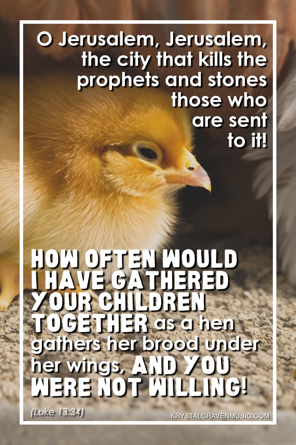 The text from Luke 13:34 "O Jerusalem, Jerusalem, the city that kills the prophets and stones those who are sent to it! How often would I have gathered your children together as a hen gathers her brood under her wings, and you were not willing!" over a picture of a chick nestled under the feathers of an adult chicken.