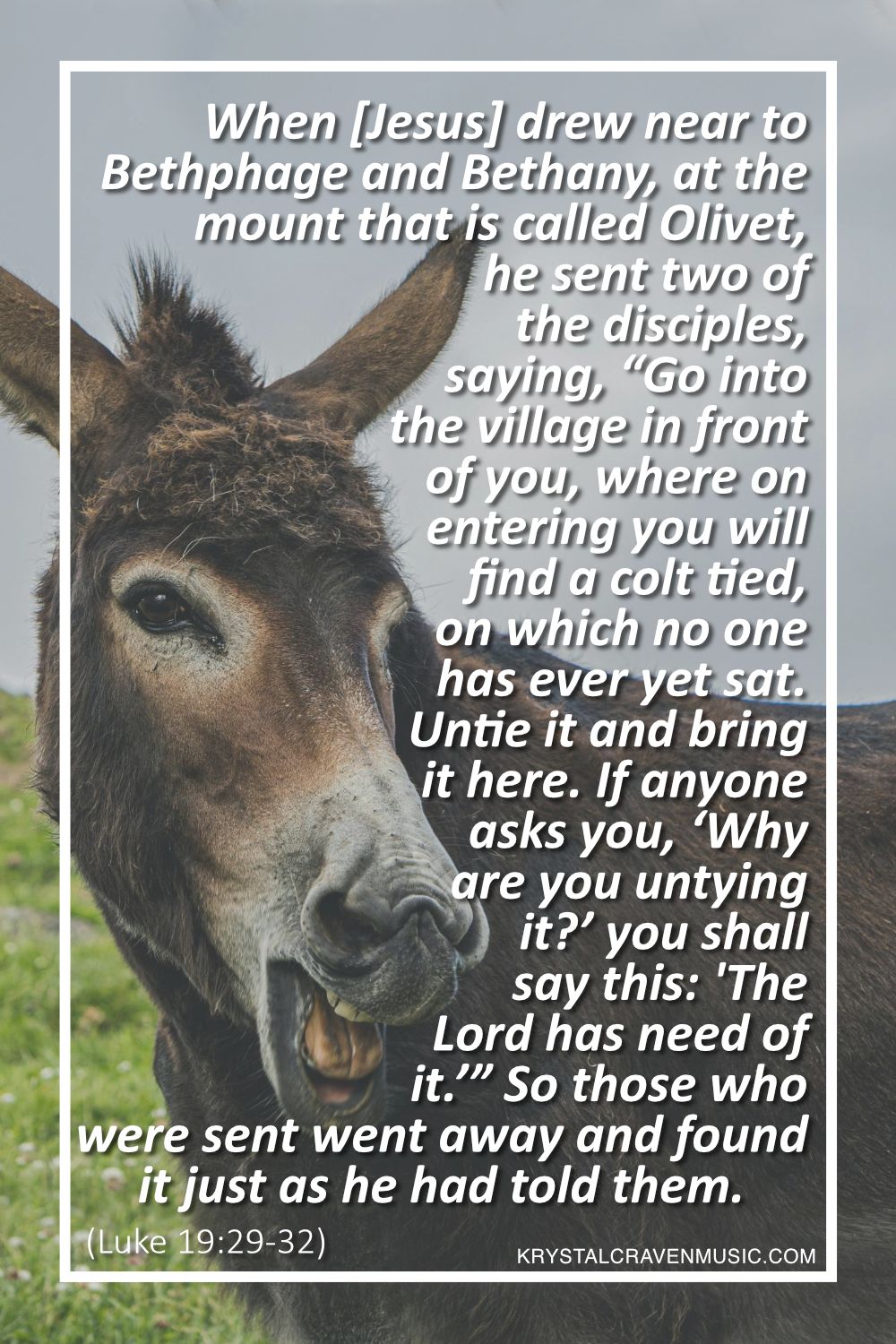 The text from Luke 19:29-32 "When [Jesus] drew near to Bethphage and Bethany, at the mount that is called Olivet, he sent two of the disciples, saying, “Go into the village in front of you, where on entering you will find a colt tied, on which no one has ever yet sat. Untie it and bring it here. If anyone asks you, ‘Why are you untying it?’ you shall say this: ‘The Lord has need of it.’” So those who were sent went away and found it just as he had told them." over a donkey in a field with its mouth open.