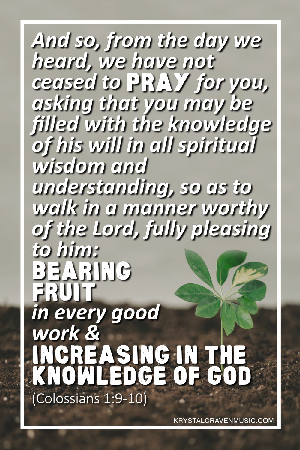 An image of small green plant growing out of dirt. Overlaying the image are the words "And so, from the day we heard, we have not ceased to pray for you, asking that you may be filled with the knowledge of his will in all spiritual wisdom and understanding, so as to walk in a manner worthy of the Lord, fully pleasing to him: bearing fruit in every good work and increasing in the knowledge of God (Colossians 1:9-10)".
