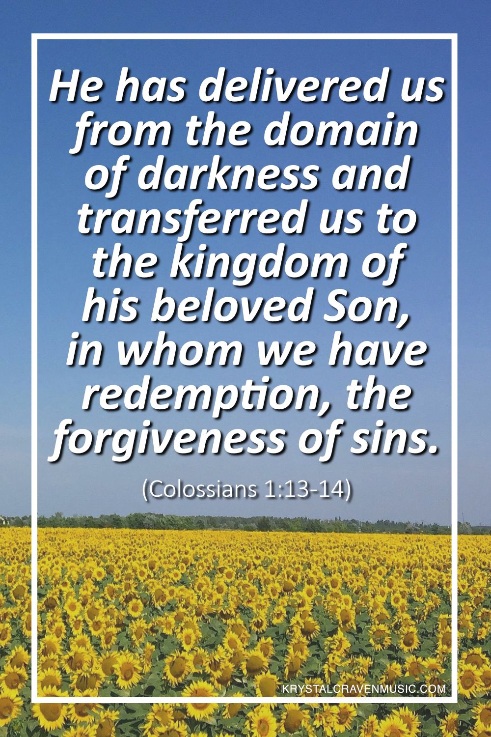 An image of a field of sunflowers with a blue sky above. Overlaying the image are the words "He has delivered us from the domain of darkness and transferred us to the kingdom of his beloved Son, in whom we have redemption, the forgiveness of sins. (Colossians 1:13-14)".