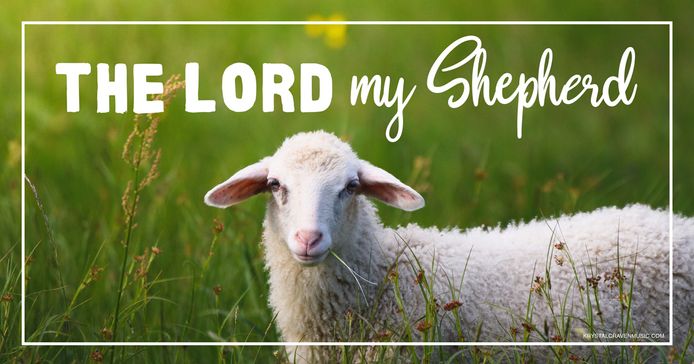 Devotional title text overlaying a sheep looking straight at the camera with grass in its mouth, surrounded by lush green grass.