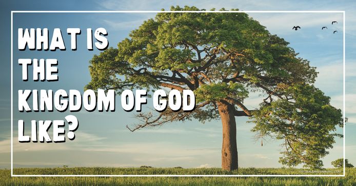 The title text "What is the Kingdom of God Like?" over a large tree growing in a grassy field with birds flying near it.