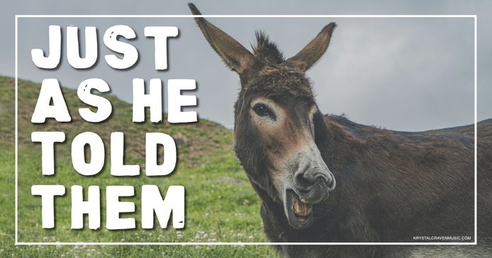 The title text "Just as He Told Them" over a donkey in a field with its mouth open.