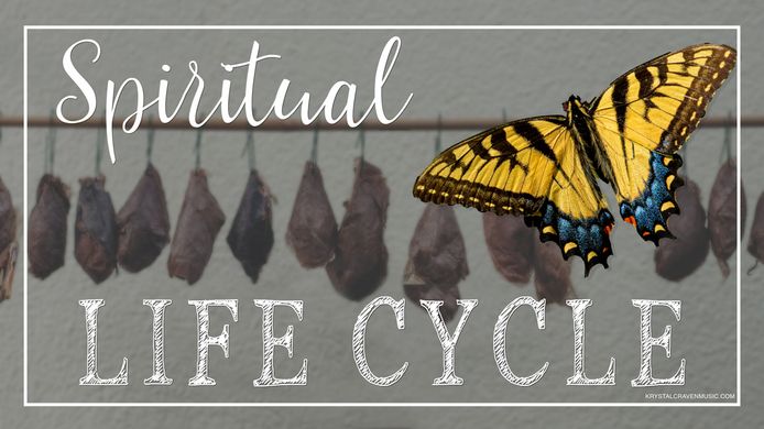 Devotional title text overlaying a line of hanging chrysalises and a yellow butterfly with a little blue and red at the outer, bottom portion of the wings, over the right side with open wings.