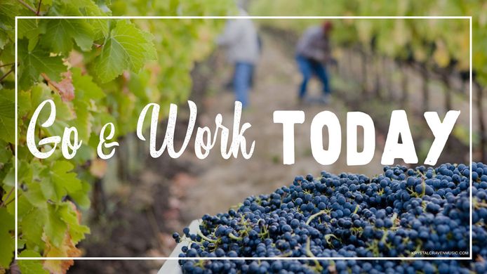 Devotional title text overlaying an aisle of a vineyard, with workers picking grapes in the background and a container full of grapes in the foreground.