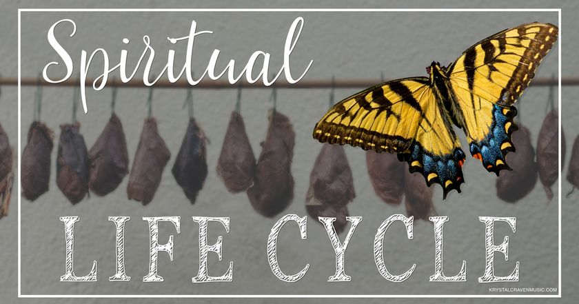 Devotional title text overlaying a line of hanging chrysalises and a yellow butterfly with a little blue and red at the outer, bottom portion of the wings, over the right side with open wings.