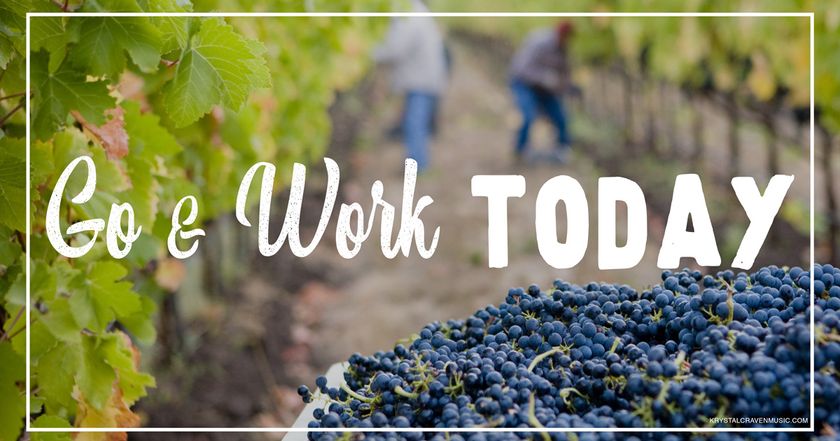 Devotional title text overlaying an aisle of a vineyard, with workers picking grapes in the background and a container full of grapes in the foreground.