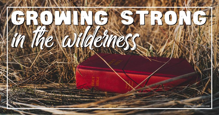 Devotional text overlaying a red Bible laying among long, tall, dry grass.