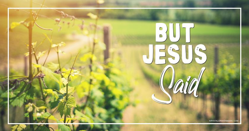 The devotional title text of "But Jesus Said" overlaying a landscape of a vineyard with the golden sunset over it.