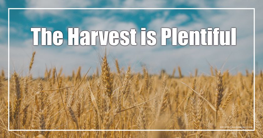 The title text "The Harvest is Plentiful" in a large white font overlaid on a photo of a wheat field with a blue sky and clouds in the background.