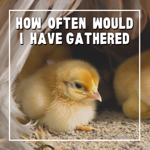 The title text "How often would I have gathered" over a picture of two chicks nestled under the feathers of an adult chicken.